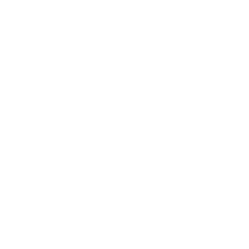 Health Insurance Icon