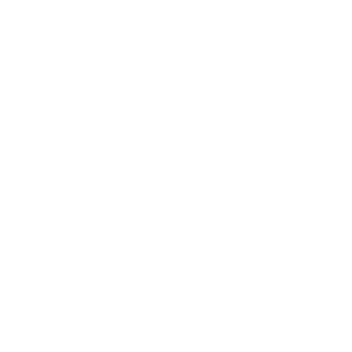 Voluntary Life Icon